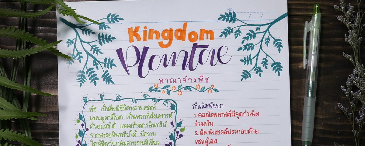 แต่งใบงานลายเถาวัลย์