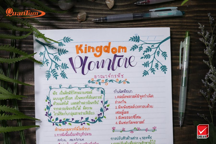 แต่งใบงานลายเถาวัลย์